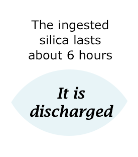The ingested silica will be discharged in about 6 hours